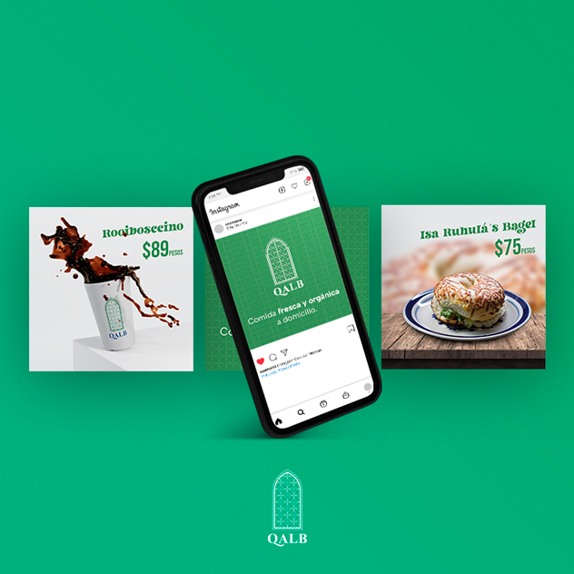 Portfolio 1 qalb campaign